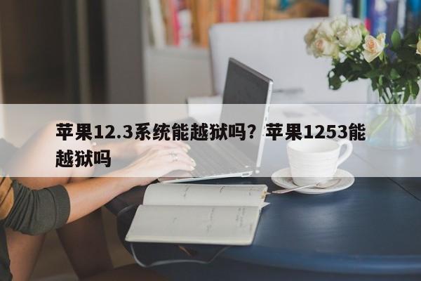 苹果12.3系统能越狱吗?苹果1253能越狱吗