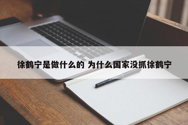 徐鹤宁是做什么的 为什么国家没抓徐鹤宁