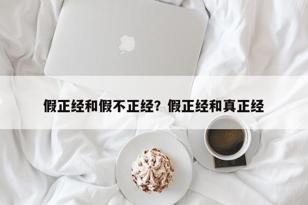 假正经和假不正经?假正经和真正经